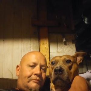 Meet your Posher, Warren